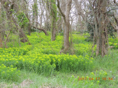 DSCN8185.JPG