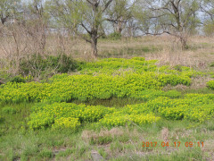 DSCN8121.JPG