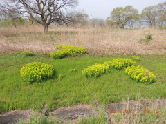 DSCN8120.JPG
