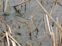 DSCN8204.JPG
