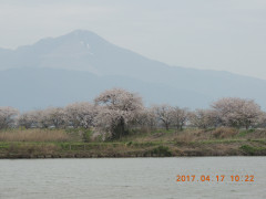DSCN8158.JPG