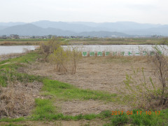 DSCN8149.JPG