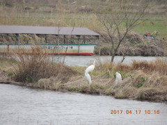 DSCN8148.JPG