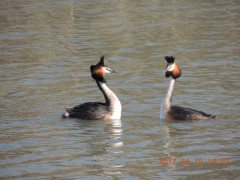 DSCN8298.JPG