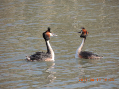 DSCN8299.JPG