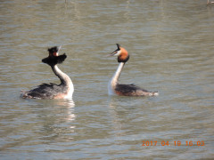 DSCN8301.JPG