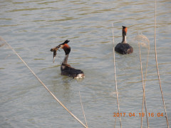 DSCN8304.JPG