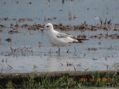 DSCN8350.JPG