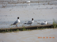 DSCN8344.JPG