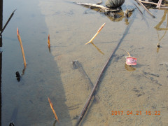 DSCN8368.JPG