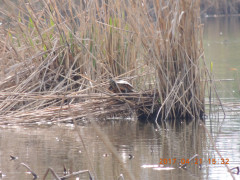DSCN8371.JPG