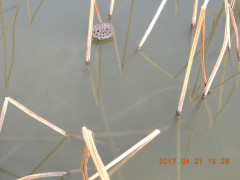 DSCN8370.JPG