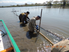 DSCN8396.JPG