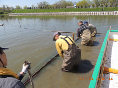 DSCN8397.JPG