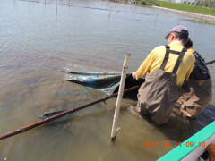 DSCN8393.JPG