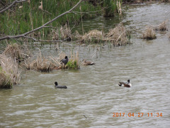 DSCN8486.JPG