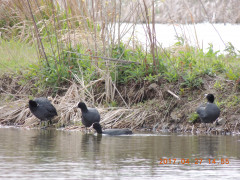 DSCN8523.JPG