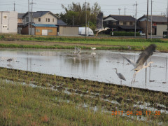 DSCN8597.JPG