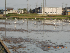 DSCN8611.JPG