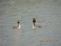 DSCN8435.JPG