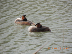 DSCN8423.JPG