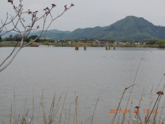 DSCN8660.JPG