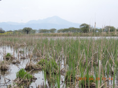 DSCN8661.JPG