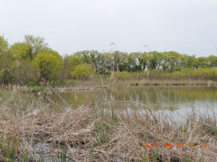 DSCN8666.JPG