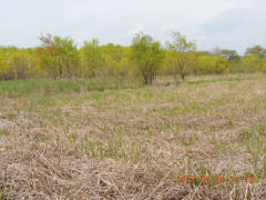 DSCN8665.JPG