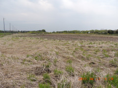 DSCN8664.JPG