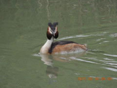 DSCN9276.JPG