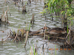 DSCN9299.JPG