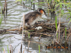 DSCN9302.JPG
