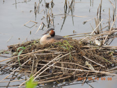 DSCN9275.JPG