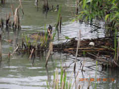 DSCN9341.JPG