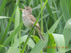 DSCN9413.JPG