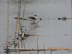 DSCN9445.JPG