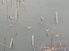 DSCN9428.JPG