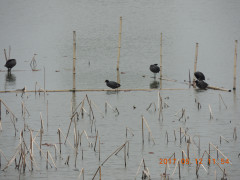 DSCN9446.JPG