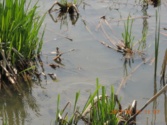 DSCN9440.JPG