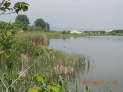DSCN9437.JPG