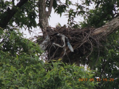 DSCN9480.JPG