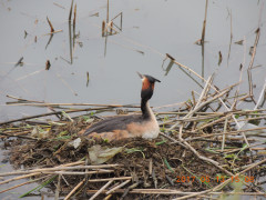 DSCN9459.JPG