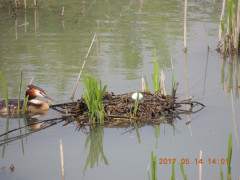 DSCN9497.JPG