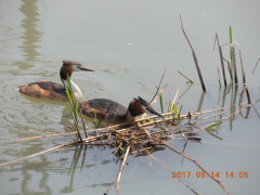 DSCN9501.JPG