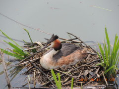 DSCN9538.JPG