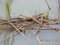 DSCN9540.JPG