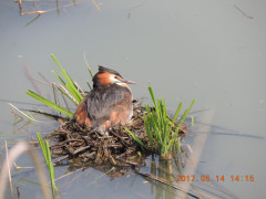 DSCN9509.JPG