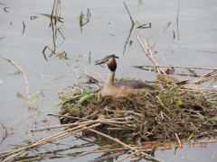DSCN9604.JPG