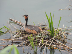 DSCN9607.JPG